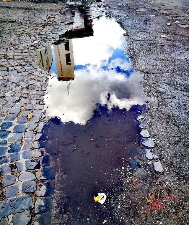 sampietrino's tweet photo. Dopo la pioggia le nuvole si specchiano tra I sanpietrini / After the rain, clouds are reflected in the cobblestones | ph @photo_by_ste999ste
#huaweiphotography #huaweimobile #huaweip9 #huaweidevice #rome #roma #cloudyday #clouds #sanpietrini #reflectio… https://t.co/8QvVW7dDc2 https://t.co/KlQTo1XKzg
