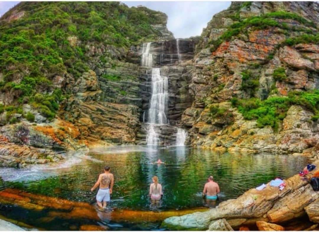 TsitsikammaTourism tweet media