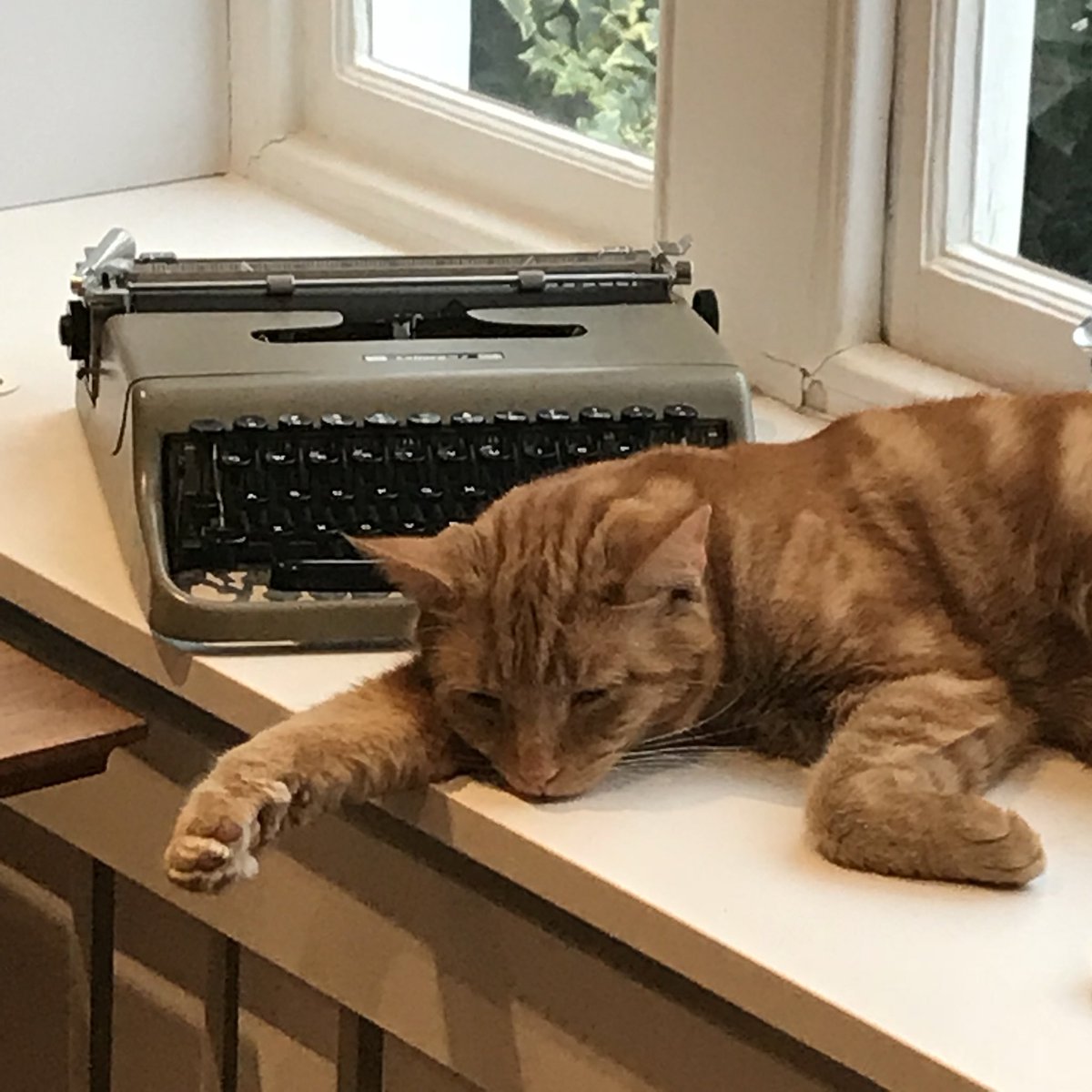 Evalyn7's tweet image. I pulled out my Dad’s old portable typewriter to  commune with it &amp;amp; tell it how much I miss using it&amp;amp; now the cat won’t let me move it. #MissMyTypeWriter #OnePage #AtATime #TypewriterNostalgia #DigitalisNotAlwaysBetter