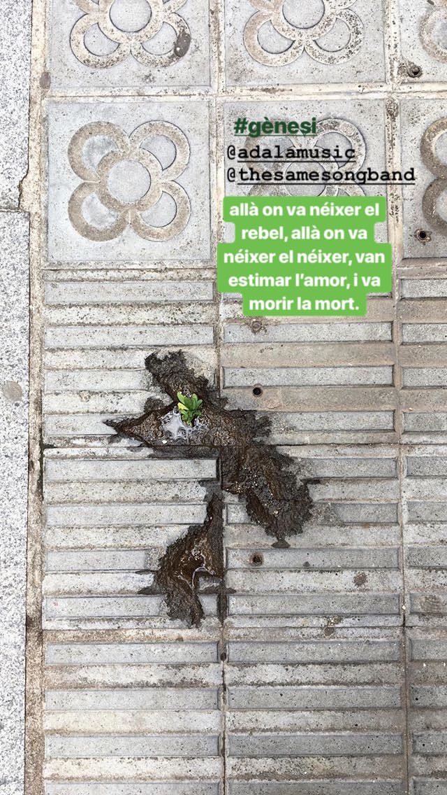 AlbaJuMartinez's tweet photo. 🌱 #gènesi @blankfosk https://t.co/RoUI0xhVpG