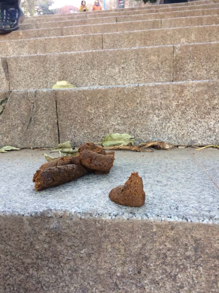 caquesdelpoble1's tweet photo. I després dels nadals, com ens veieu? creieu que ens hem engreixat? #caquesmaques #proucaques #poblesec https://t.co/Rwy7MFtuHr