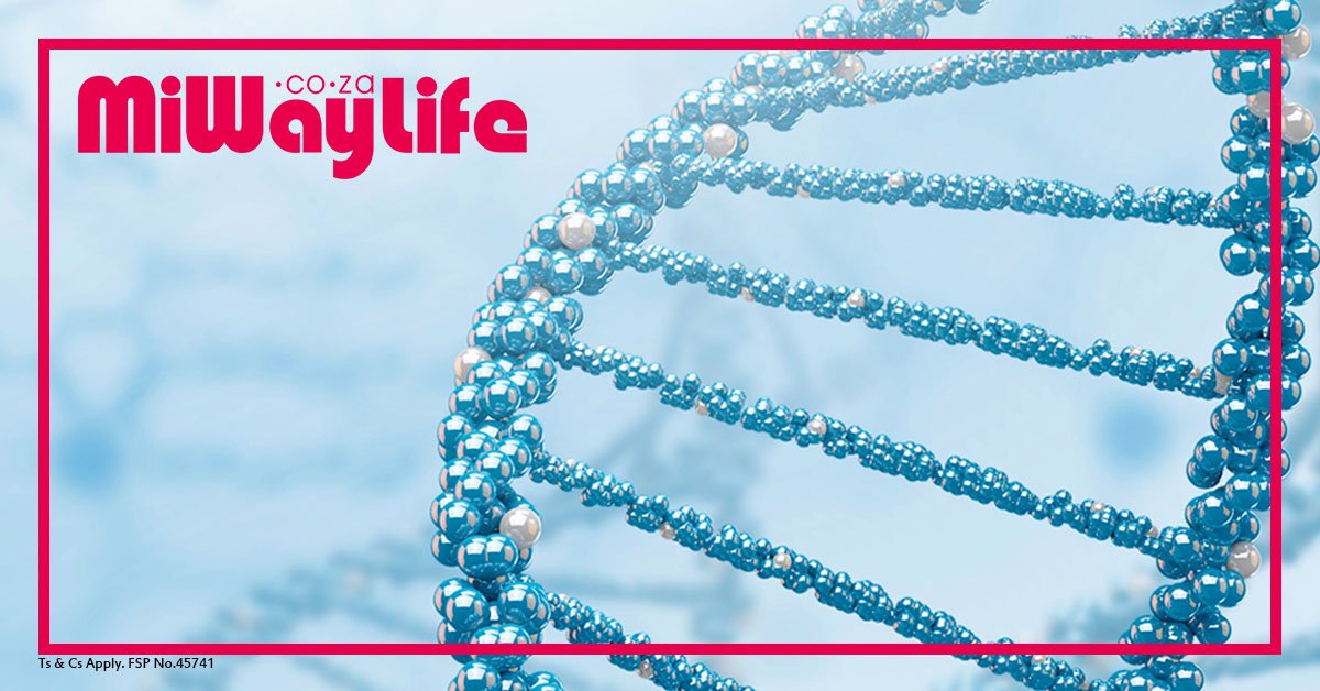 miwaylife's tweet photo. The knowledge & awareness of your genetic makeup will empower you to manage your lifestyle in order to lower the risk of certain diseases through healthy living based on your DNA. Win a #Geneway Combo deal for you & your partner here: https://t.co/YbclaiCgFm #LifeYourWay https://t.co/z6Wgf34hzQ