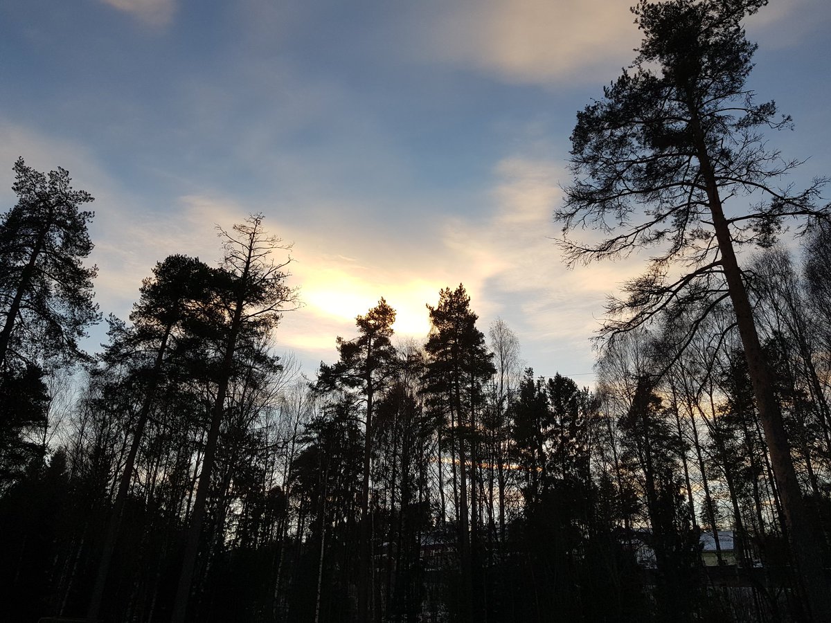 Dilyanka4's tweet photo. Have a nice weekend Everyone. 😁
#sky #fotography #foto #fotos #forest #clouds #day #landscapelovers #sunlight #blue #landscape #treea #tree #nature #water #landscapephotography #black #white #naturelovers #NaturePhotography https://t.co/IEDzi32irn