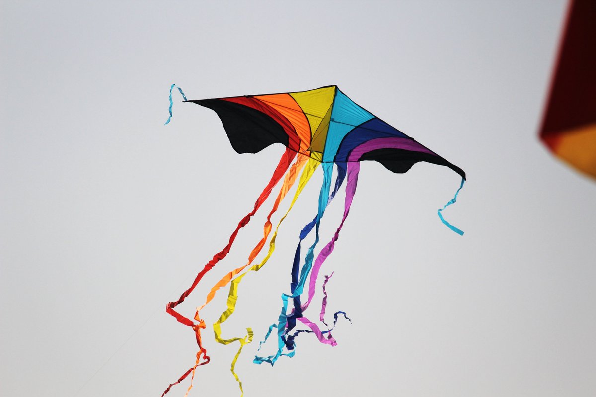 FabHotels's tweet photo. This long weekend, plan to attend the international #kitefestival in Ahmedabad till 13th Jan called the #Uttarayan which brings master kite makers and flyers from all over the world to demonstrate their unique creations.
#DiscoverWithFab #FabHotels #Ahmedabad https://t.co/4O3nLySKdr