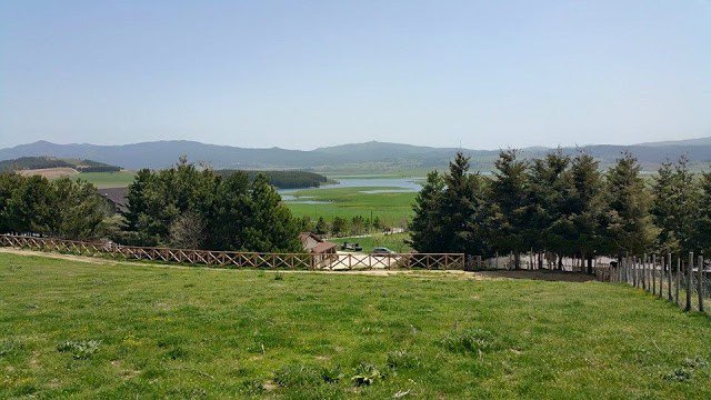 Blogtour nella Sila: conosciamo la Calabria! aifb.it/eventi-e-incon…