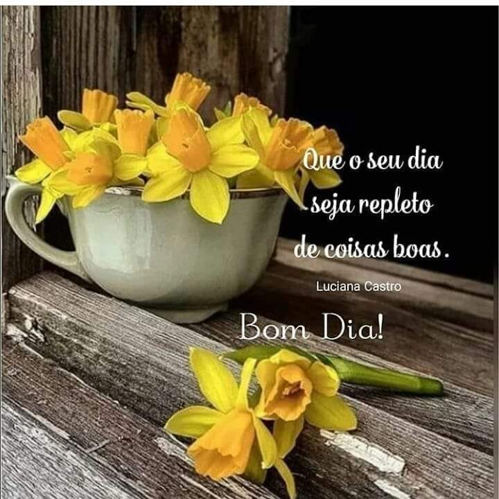 Flor de Lotus on Twitter: Flor de Lotus on Twitter: