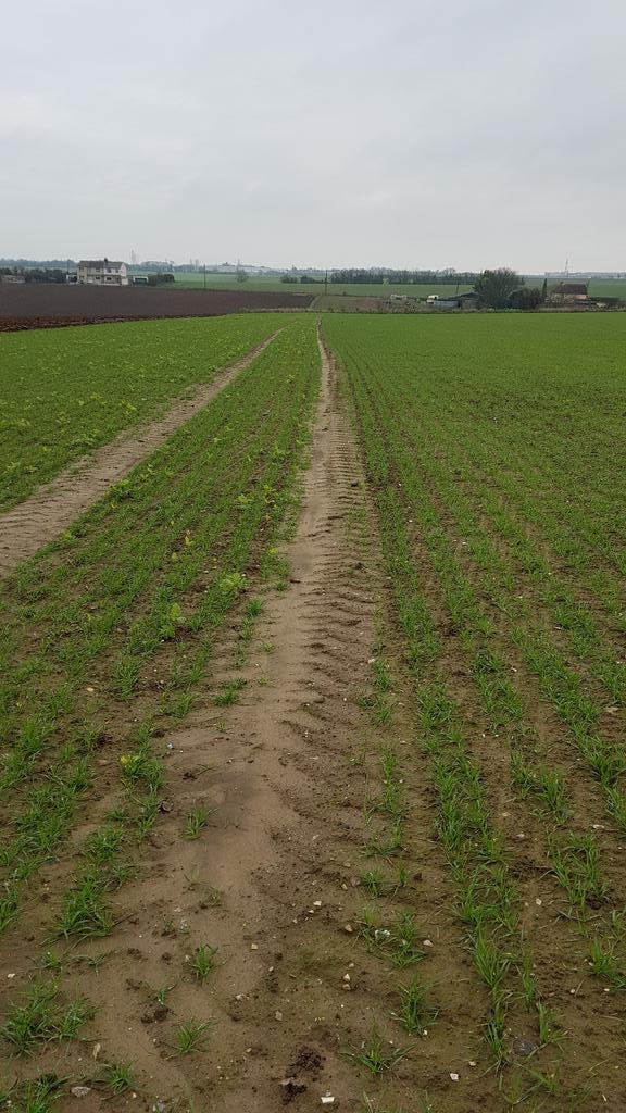GraemeSkinner1's tweet photo. K.Edward left, Marfona right, #groundkeepers #losses https://t.co/JvJAL75KvP