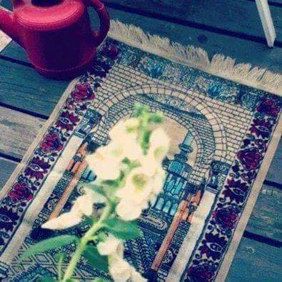 <a href="/Amal12M12/">الشاذليه..</a> وفي يوم الجمعة أسألك ربي أن لا تذيقني بأهلي وكل من أُحب أي مكروه واحفظهم لي ولا تريني فيهم بأسا يبكيني فإني استودعتك إياهم يا من لا تضيع عنده الودائع يا الله