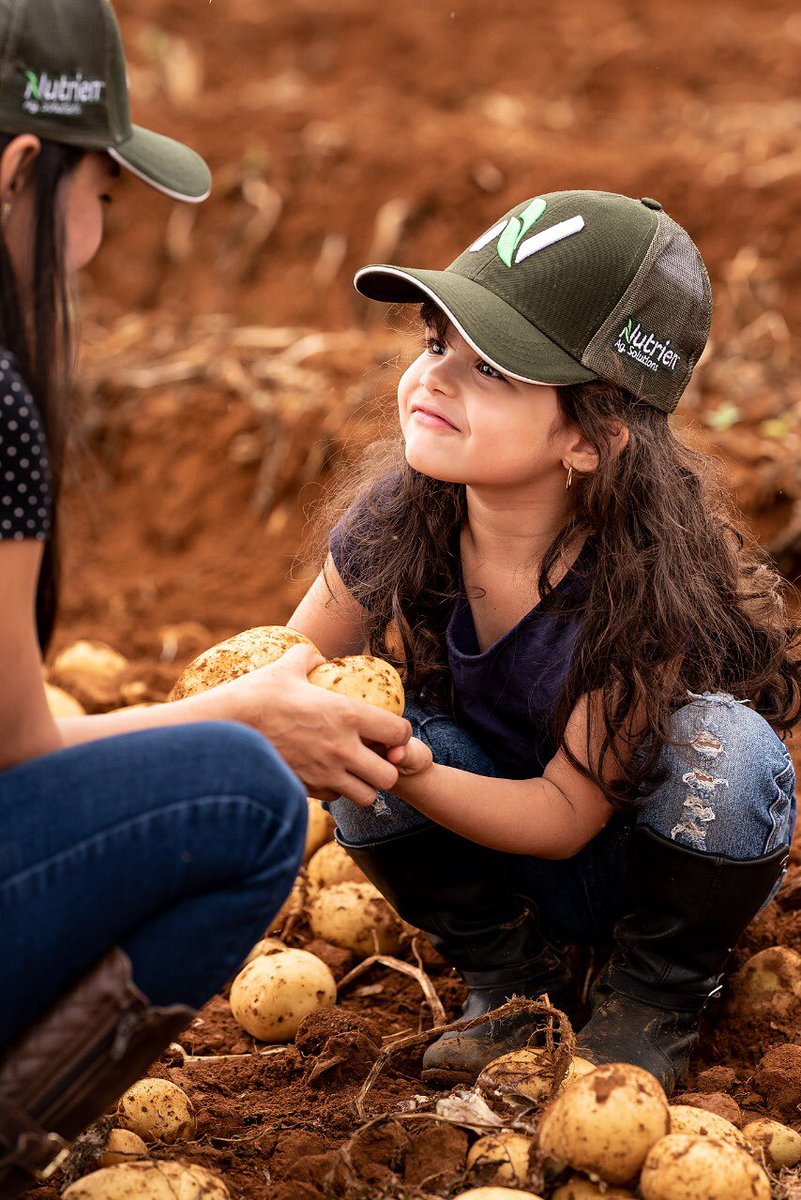 nutrienbr's tweet photo. O Futuro começa Agora! #nutrienagsolutions #nutrienbrasil #lovelandproducts #batata #nutrisync https://t.co/h2xuFWdotK