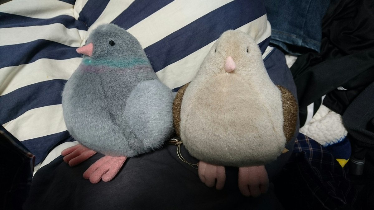 ぬいぐるみ ハト ドバト 小峰玩具 鳩 土鳩 ぬいぐるみ 鳩 ハト ドバト