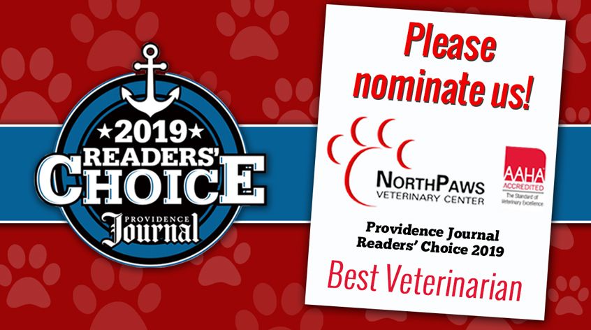 NorthPaws's tweet image. It's that time again! Nominations for 2019 Providence Journal Readers' Choice Awards starts today! You can help name NorthPaws Veterinary Center as one of the best in the veterinarian category under services! buff.ly/2TEzufI
