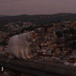 ポルトガルのコンチョス湖にある穴に水が吸い込まれいく様子が 地球の肛門 のようだ なぜ肛門に例えるのか とツッコミ Togetter