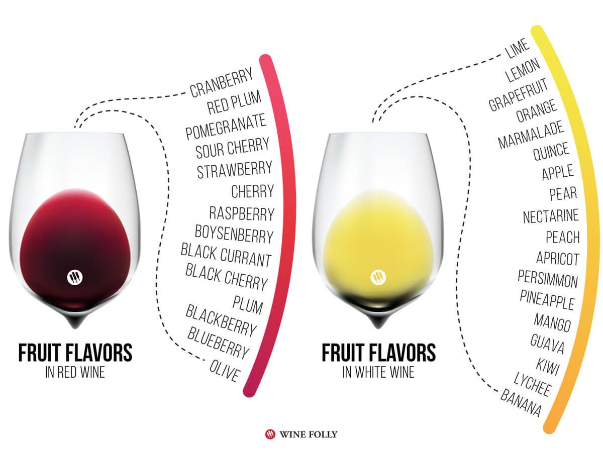 Understanding the flavors in wine starts with a seemingly simple question: Where do wine flavors come from? So let's try to answer that question... wfol.ly/2VBQlSe