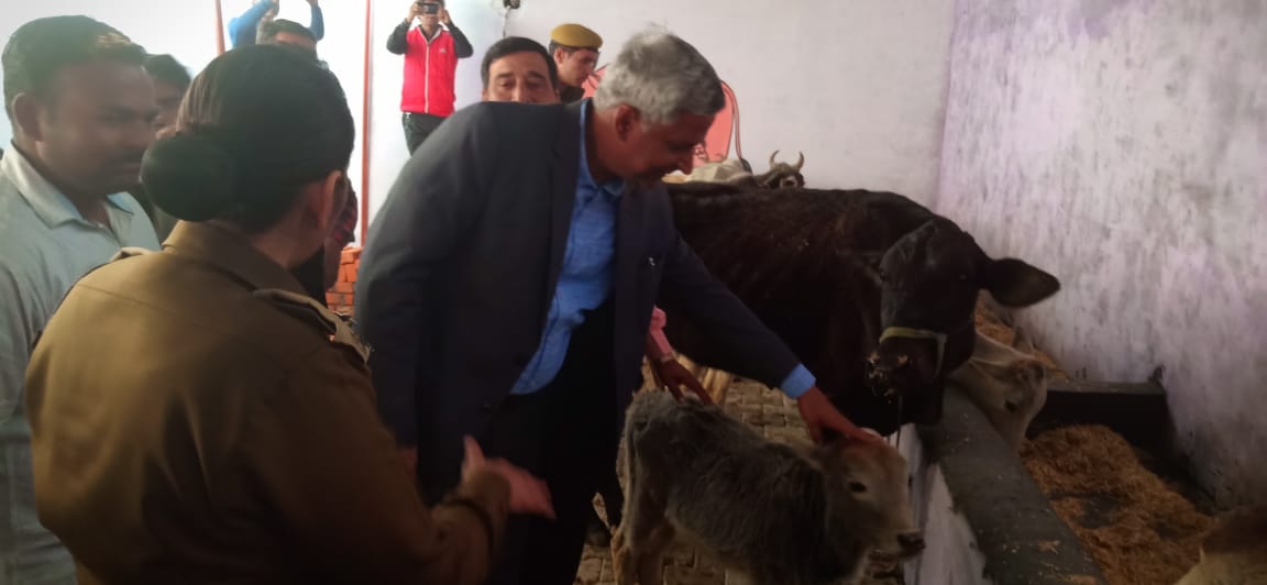 आज मोहम्मदी के वार्ड नंबर 4 में गोवंश आश्रय स्थल एवं कांजी हाउस का शुभारंभ किया गया