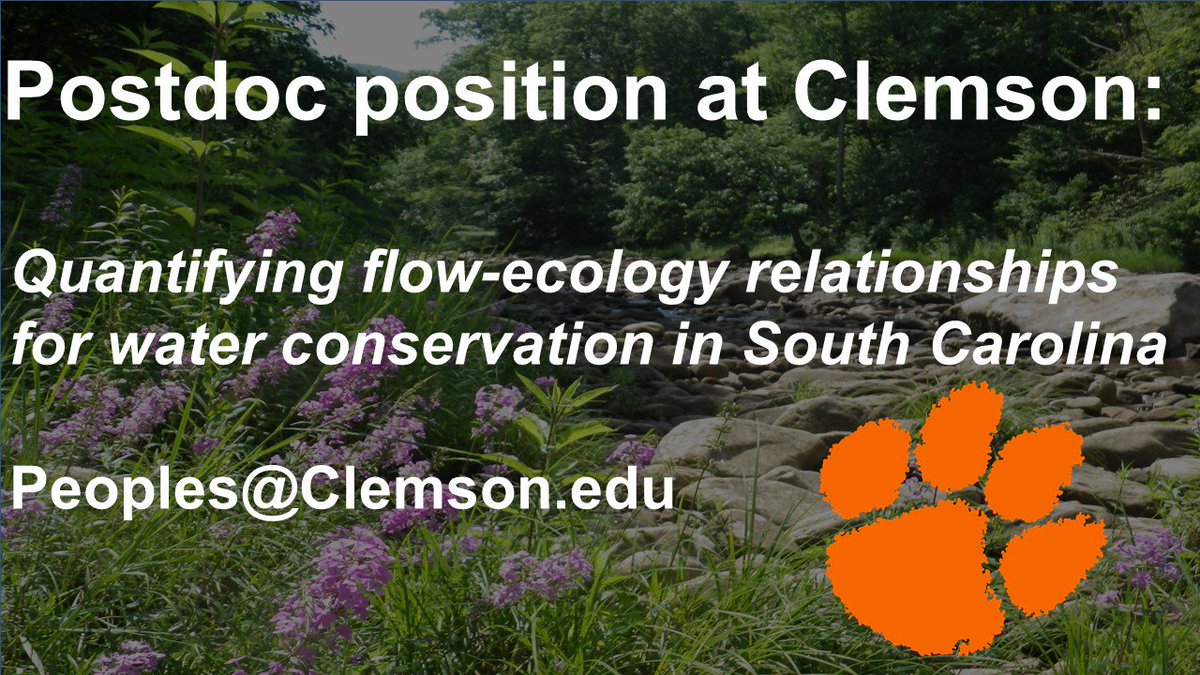 I'm looking for a postdoc to study flow-ecology relationships in SC and collaborate with <a href="/MarziehMotalle1/">Marzieh Motallebi</a> 

Position has a relatively quick deadline, so please RT!
Please email for details. More info at: peoplesfish.weebly.com  #FishSci