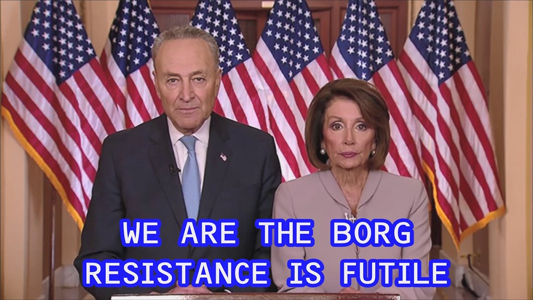 N_C_S_K's tweet image. #ChuckShumer #NancyPelosi #WeAreTheBorg #ResistanceIsFutile