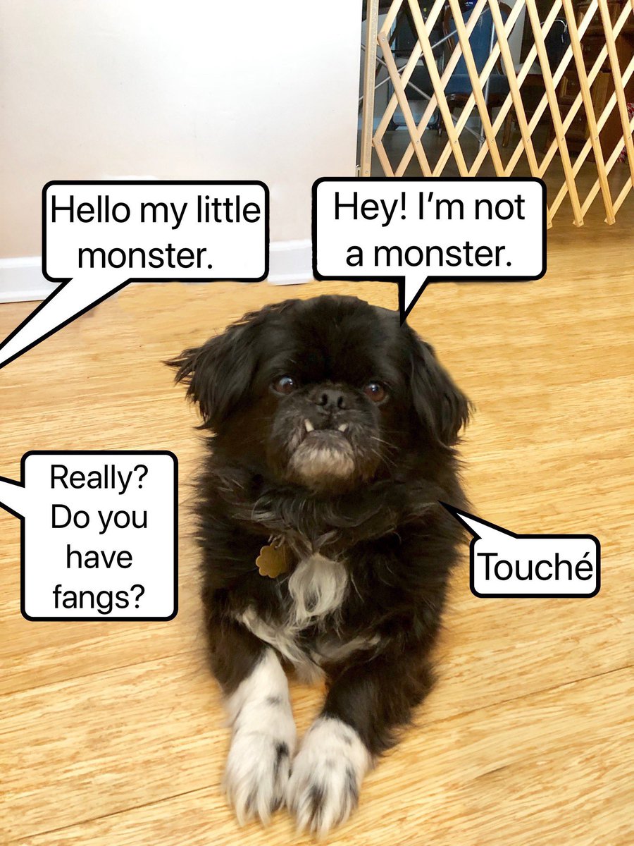 PekeTales's tweet photo. Doesn’t Tommy mean “Toothé”
#UnderbitesRule
#IfHavingFangsIsWrongIDoNotWantToBeRight
#Pekingese #funnydog #funny #caption #barkpost #buzzfeedanimals #memes https://t.co/ZpX9h3UOKw