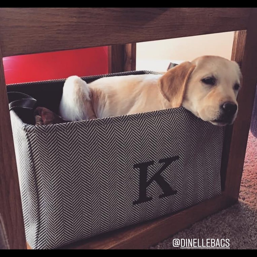 dinellebags's tweet photo. #dinellebags @dinellebags
Oh my goodness... we have seen some creative uses for our Bin, but this has to be our favorite - puppy holder!! #initialsinc #puppy #sleepypuppy #dogsofinstagram #bin #homeorganization #freepersonalization #monogram #monogrameverything #dog #puppiesofIG https://t.co/vvjTrdzYb1