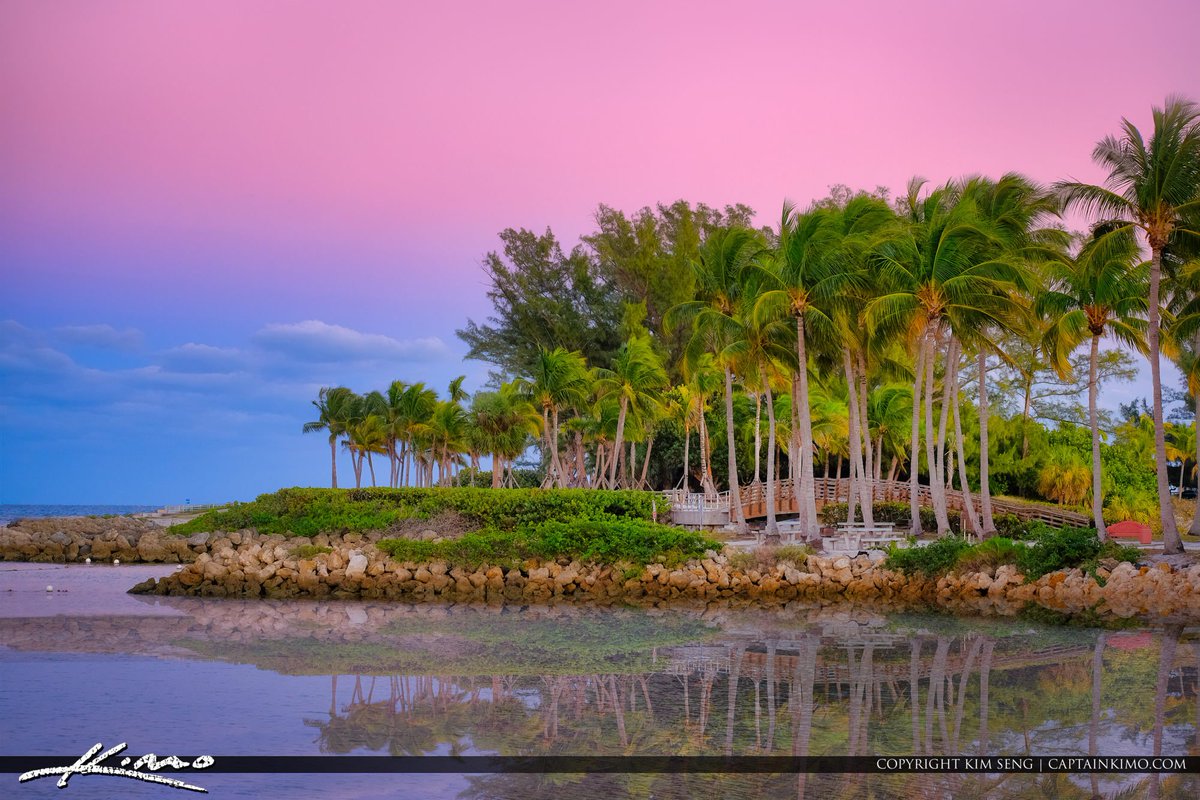 Captain Kimo tweet media