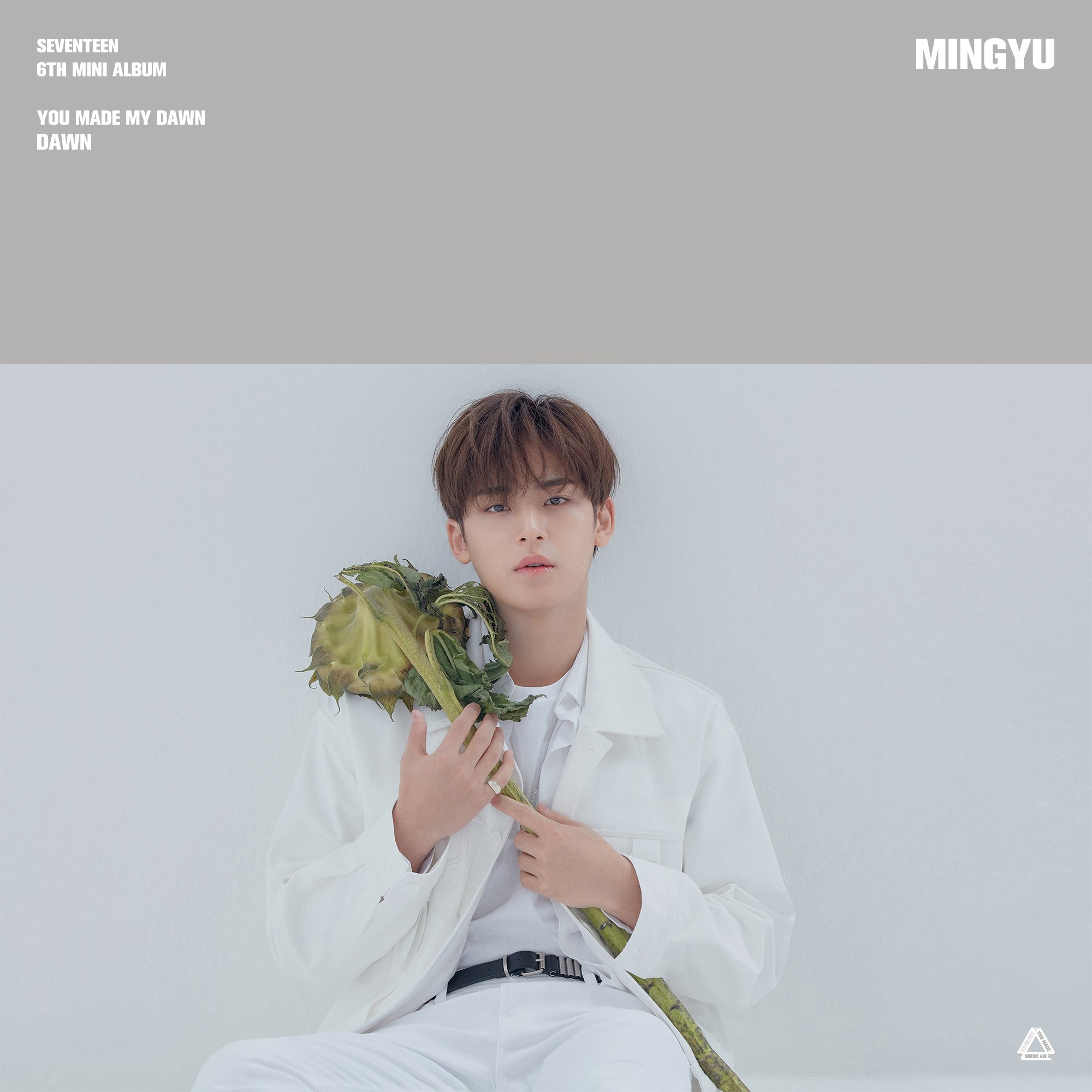 you made my dawn 新品未開封　SEVENTEEN Amazon.com: Seventeen - 6th Mini Album [You Made My Dawn