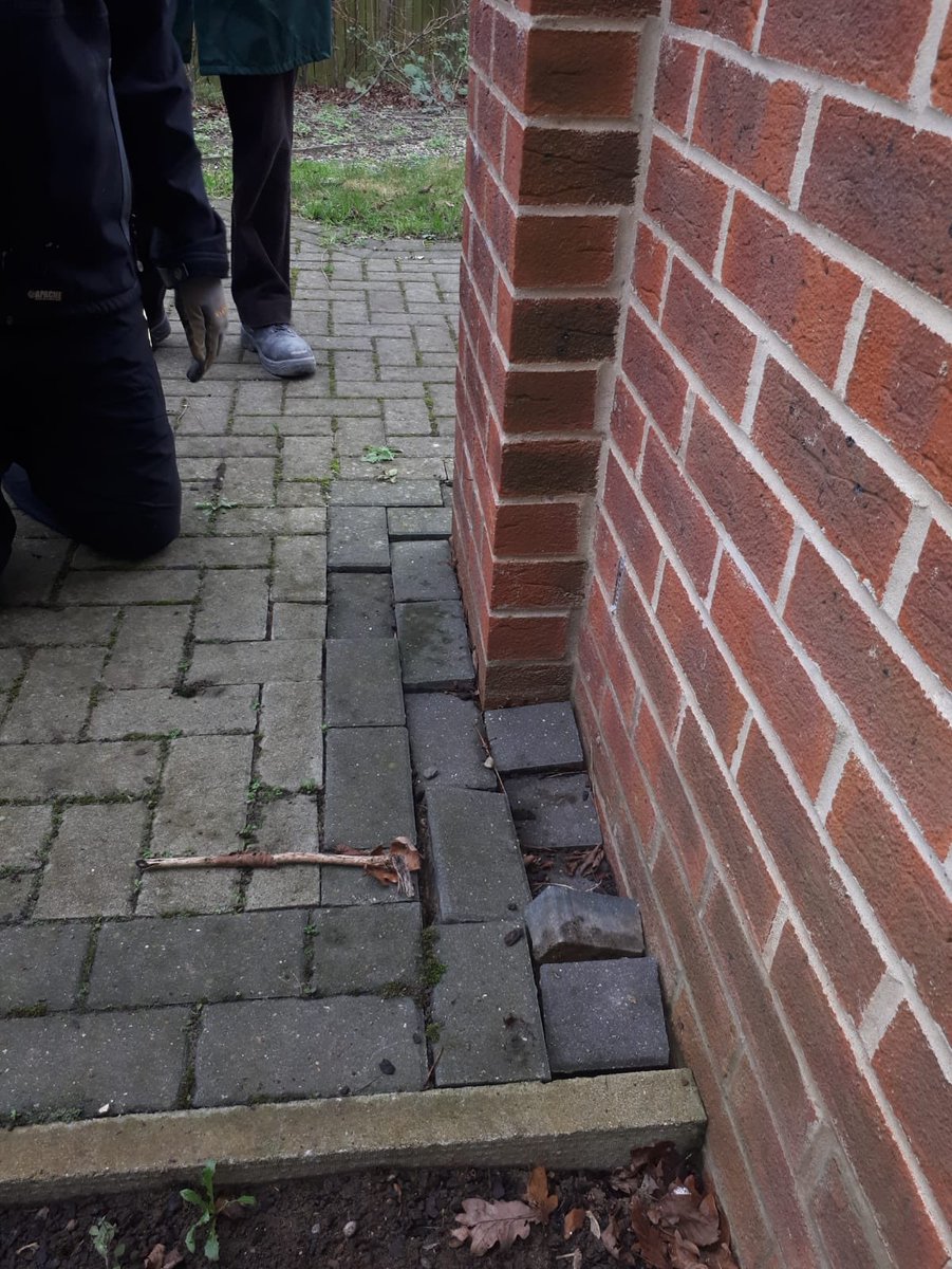 tbap_octavia's tweet photo. Amazing to see learners putting their skills to practice around the school site. #tbap19 #preciseinclusion https://t.co/pFIaaCgdTE
