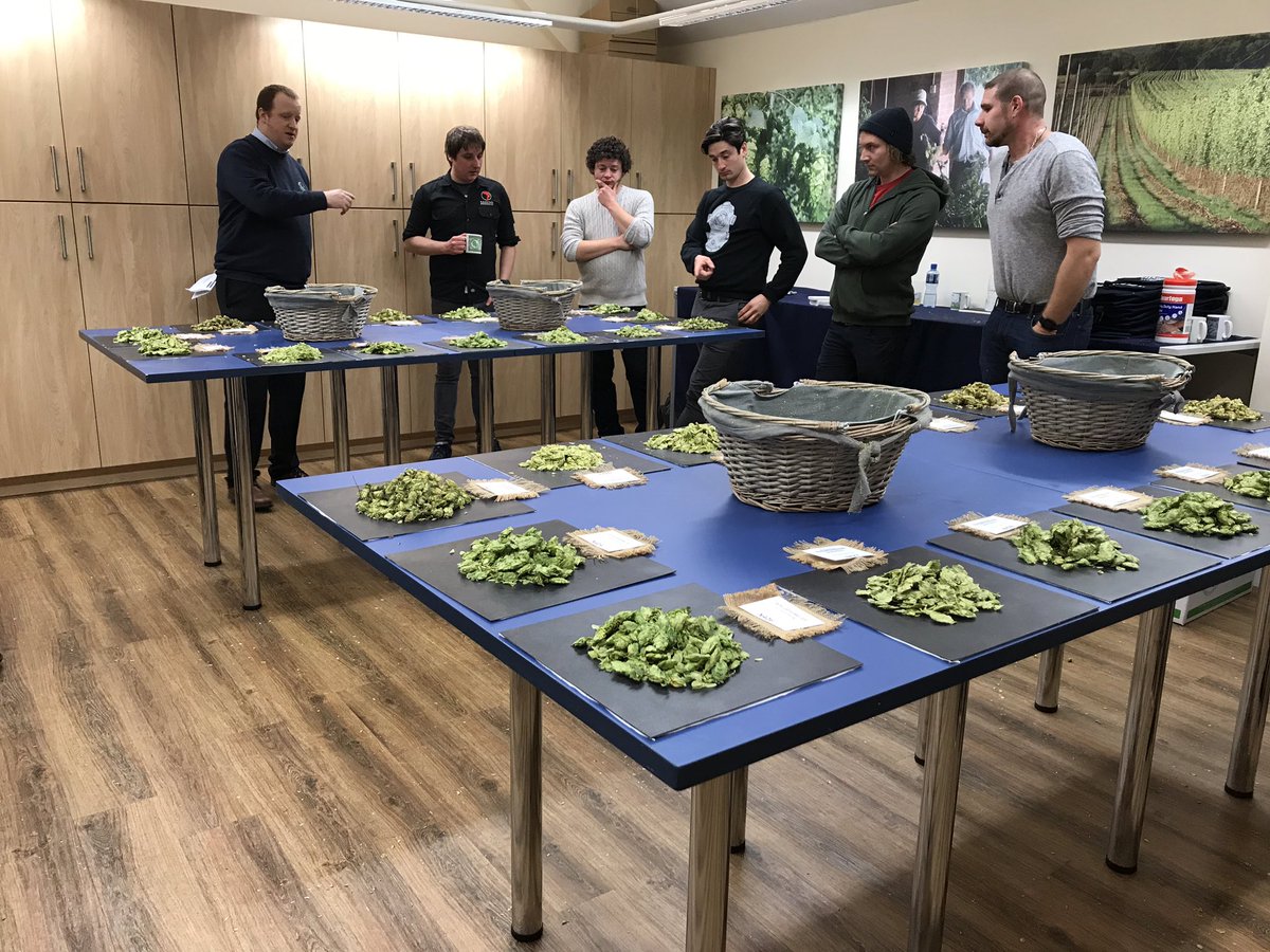 About to judge the non-commercial teeny weeny samples of BRAND NEW varieties. What comes out of this could determine the next commercial varieties #Wellhopped World Series #Experimentals