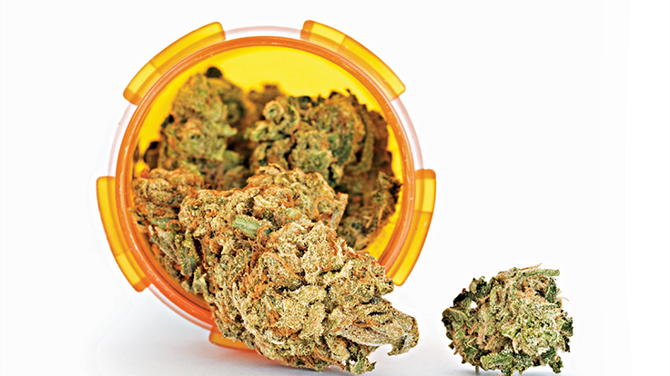 420labels's tweet photo. Kentucky Lawmakers Announce Details on Medical #Marijuana Bill
https://t.co/yd6oXYahr1 https://t.co/dvxk8zlhT2