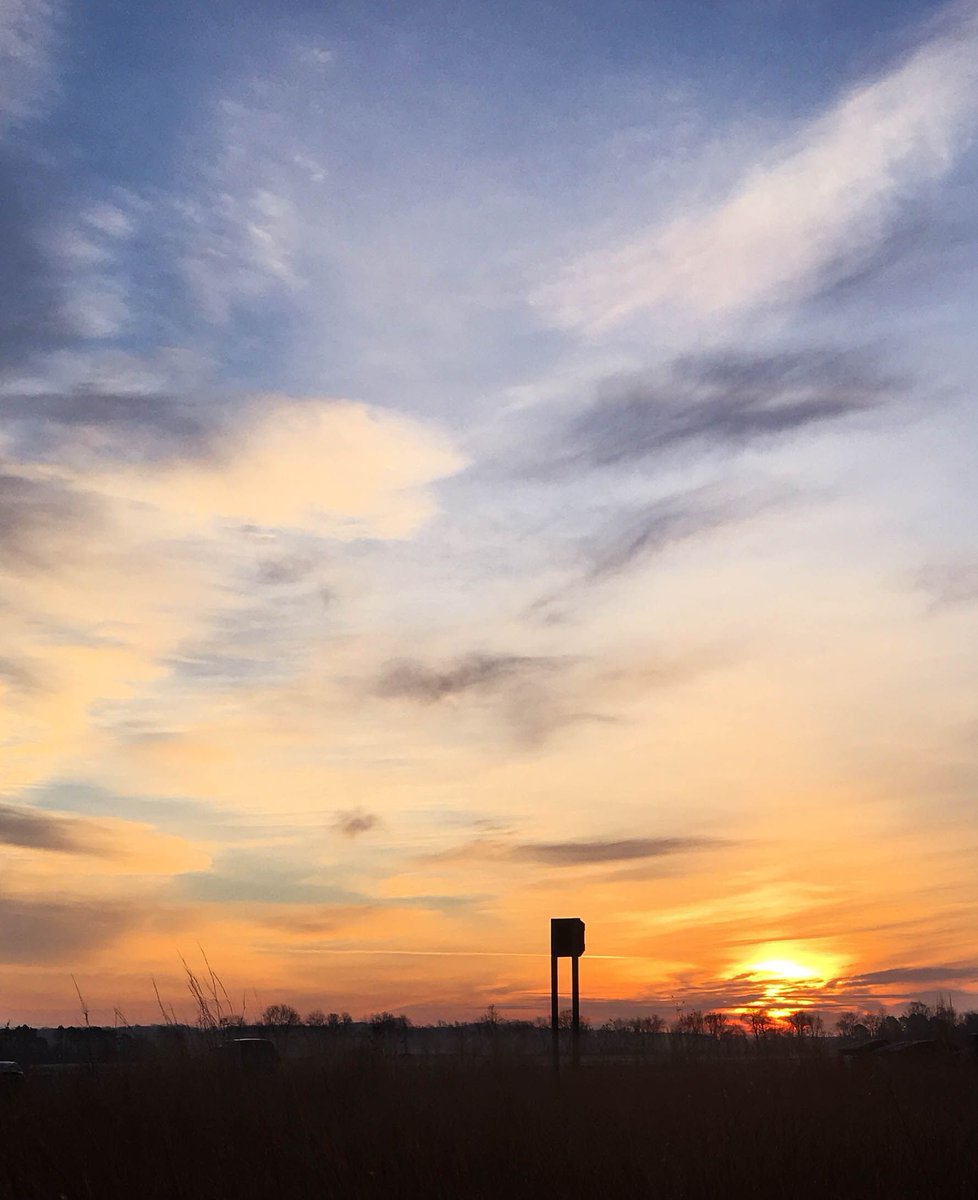 Applied Ecological tweet media