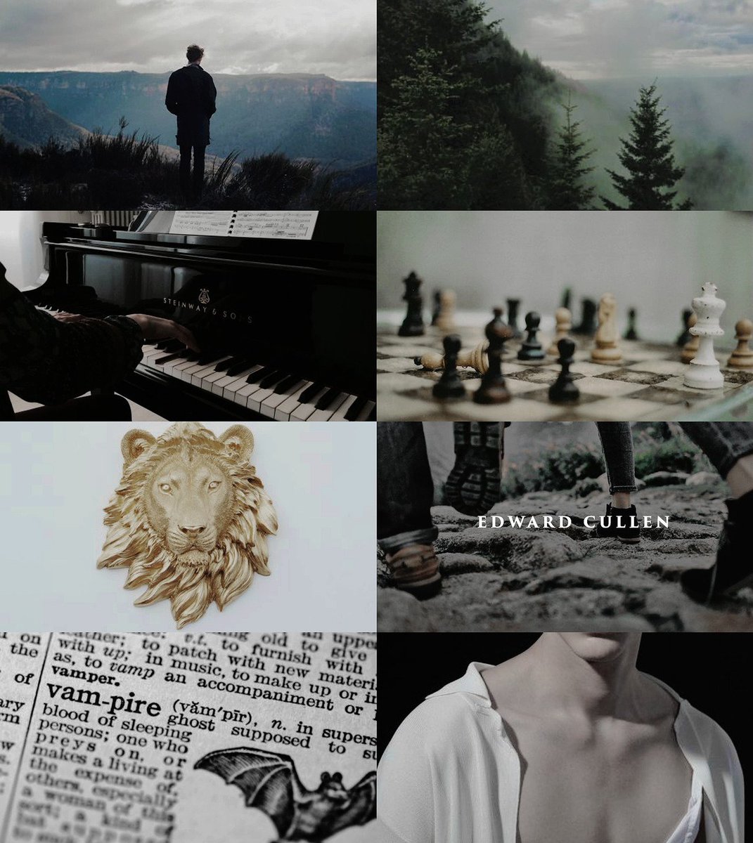 ❝ I didn't get a chance to introduce myself, I'm Edward Cullen. ❞

⎯ 1901 A.D | 118 years old
⎯ Vegetarian &amp;  Mind Reader
⎯ #TwilightSaga