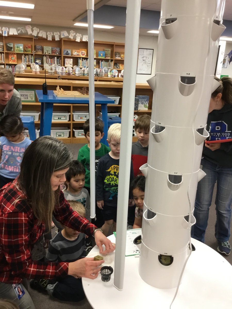 Seeds are still being planted in the Tower Garden!
<a href="/cmcdonaldbe/">Dr. Cathy McDonald</a>