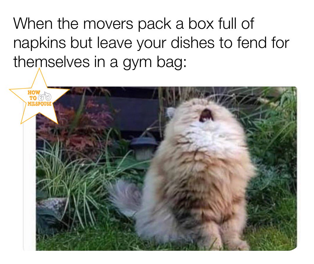 #PCS #MilSpouse #MilitaryLife