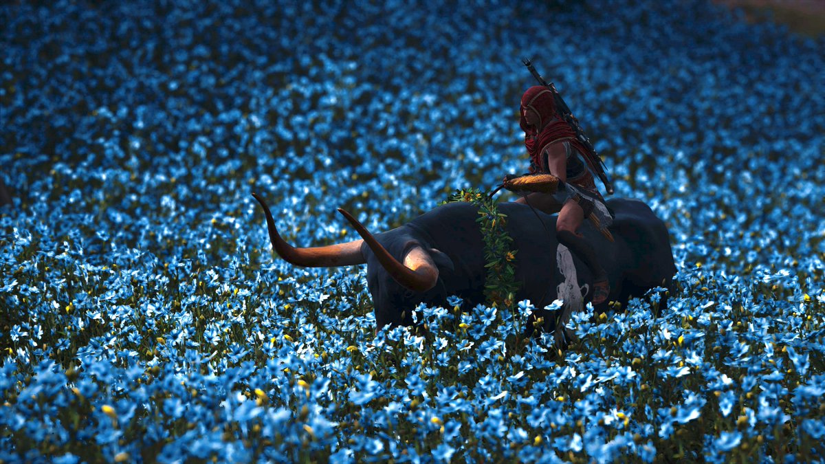 Kassandra, hooded in red, rides slowly on the back of a black bull with large horns through a field of blue-and-white flowers.