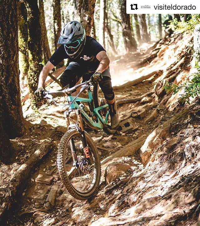 CaliExp's tweet photo. @visiteldorado shared @trailpeek photo of @mountainbikersofsantacruz trip with @californiaexpeditions ... here at the El Dorado County Tourism Summit speaking about networking. Nailed it! https://t.co/KK6ocMqWIy https://t.co/qGBcAhH4Z7