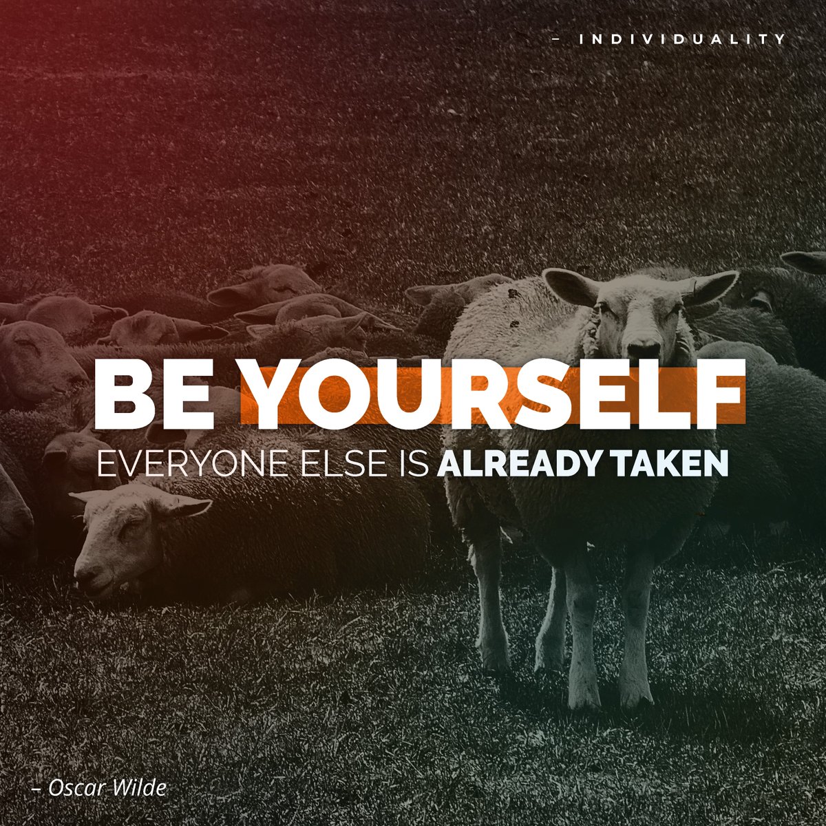 Developrise tweet media