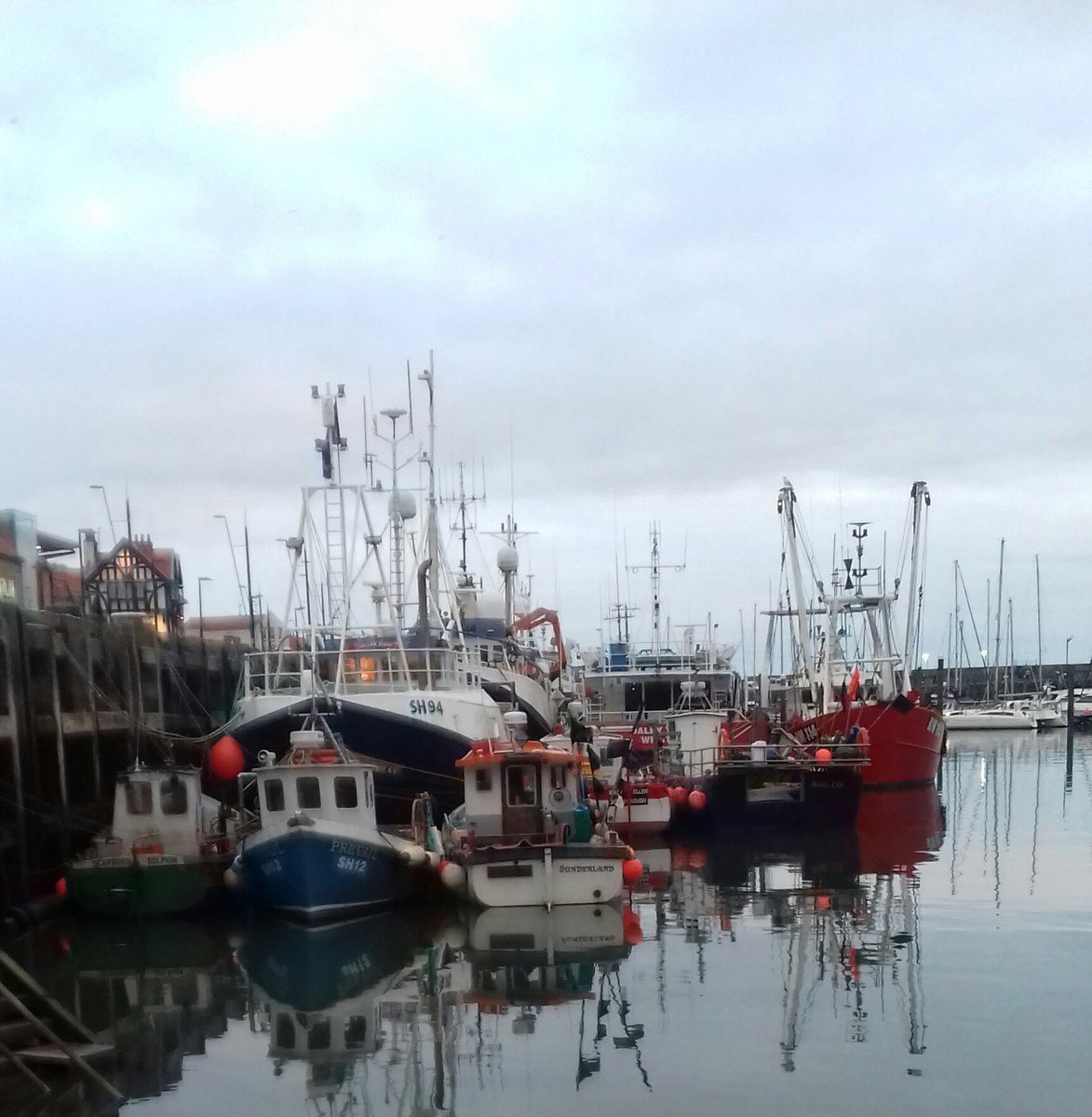 Calm and tranquil Scarborough harbour at dusk this evening :)