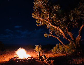 laurieannforest's tweet photo. Ready to jump back into the Central Agolith Desert of #TheShadowWand - much needed mental escape from freezing #Vermont (aka #IcePlanetHoth) 🖤💜🐲🔥 #TheBlackWitchChronicles 🖤 https://t.co/NrTG8iQl7f