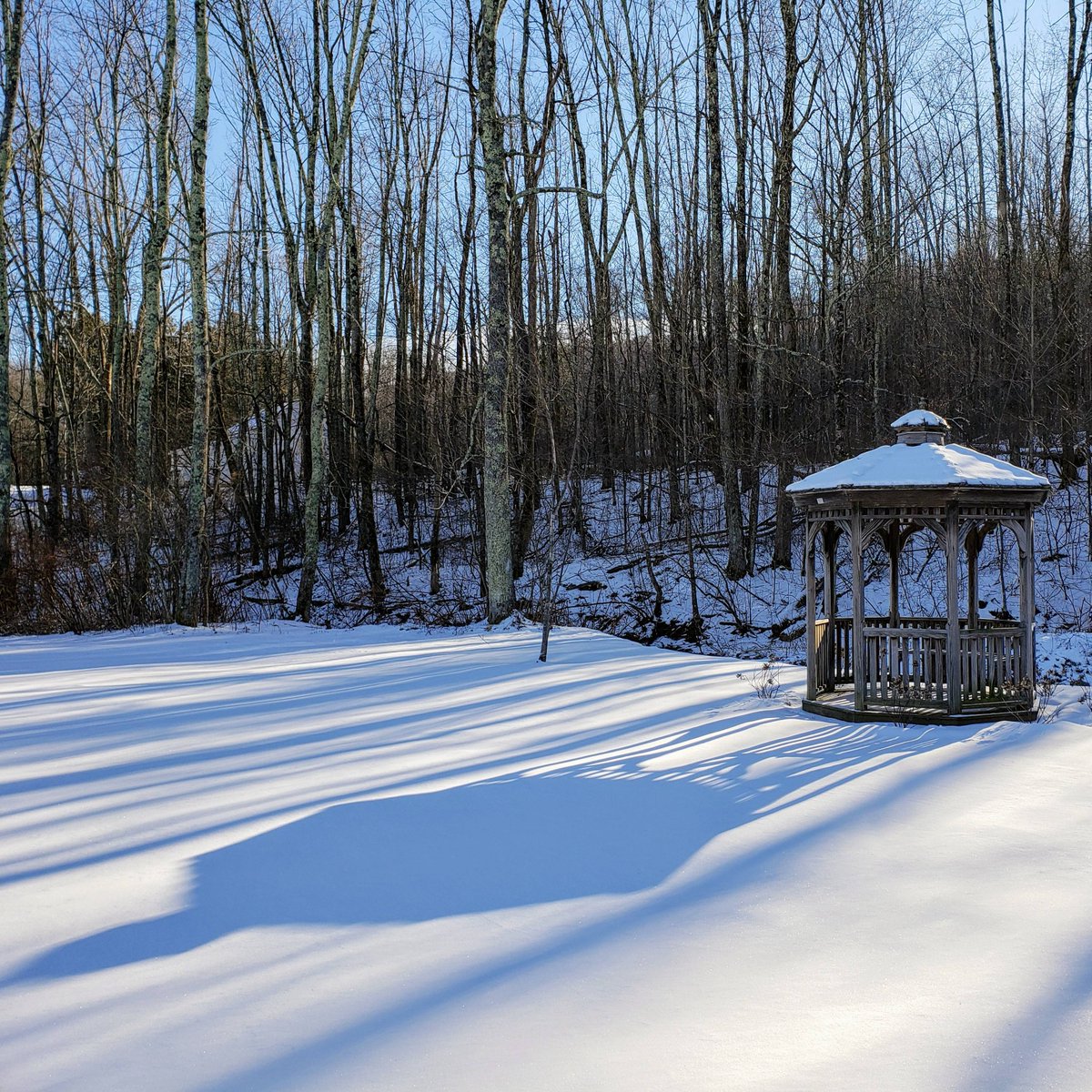 The Marble West Inn tweet media