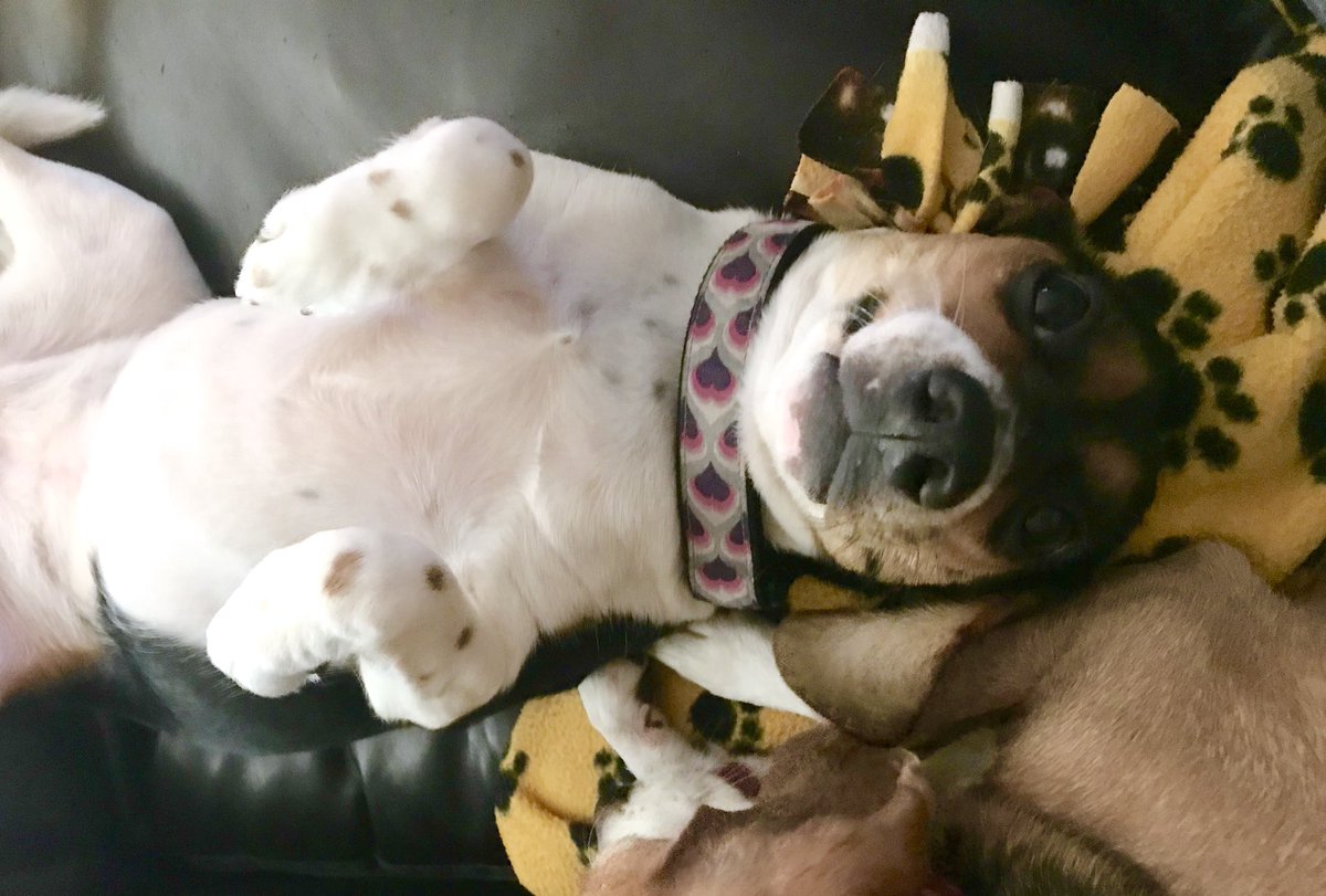 The person is doing lots of slowtoday but Ruby say I am having much betters with the pay shuns, even for very slow persons but it do not feel like the pay shuns is helping the person have the go fasters