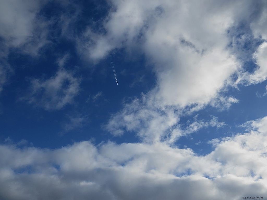beingmyself_25's tweet photo. #Chemtrails #AerosolAssault #Aluminium #Barium #Stronthium    #Sulphuricacid #CHAFF #WeatherModification #GeoEngineering #HAARP    #Nexrad #Fallstreak #SRM #PolymerFiber #CloudSeeding 09.01.2019  #SkyOverGermany https://t.co/ceTuKUbkxz