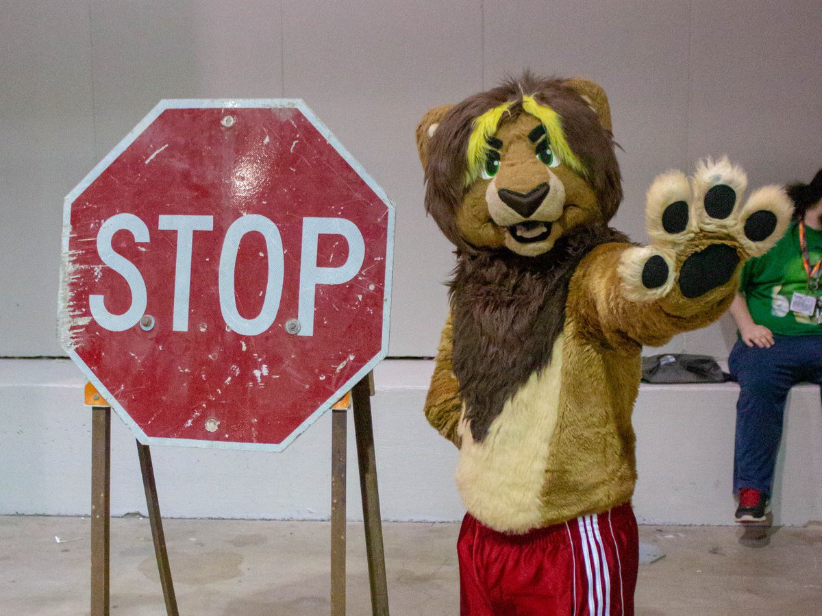 nbowa's tweet photo. Do as i say! #FursuitFriday #acen2016
📸 @RowelandFox https://t.co/xHvP6tBDsp