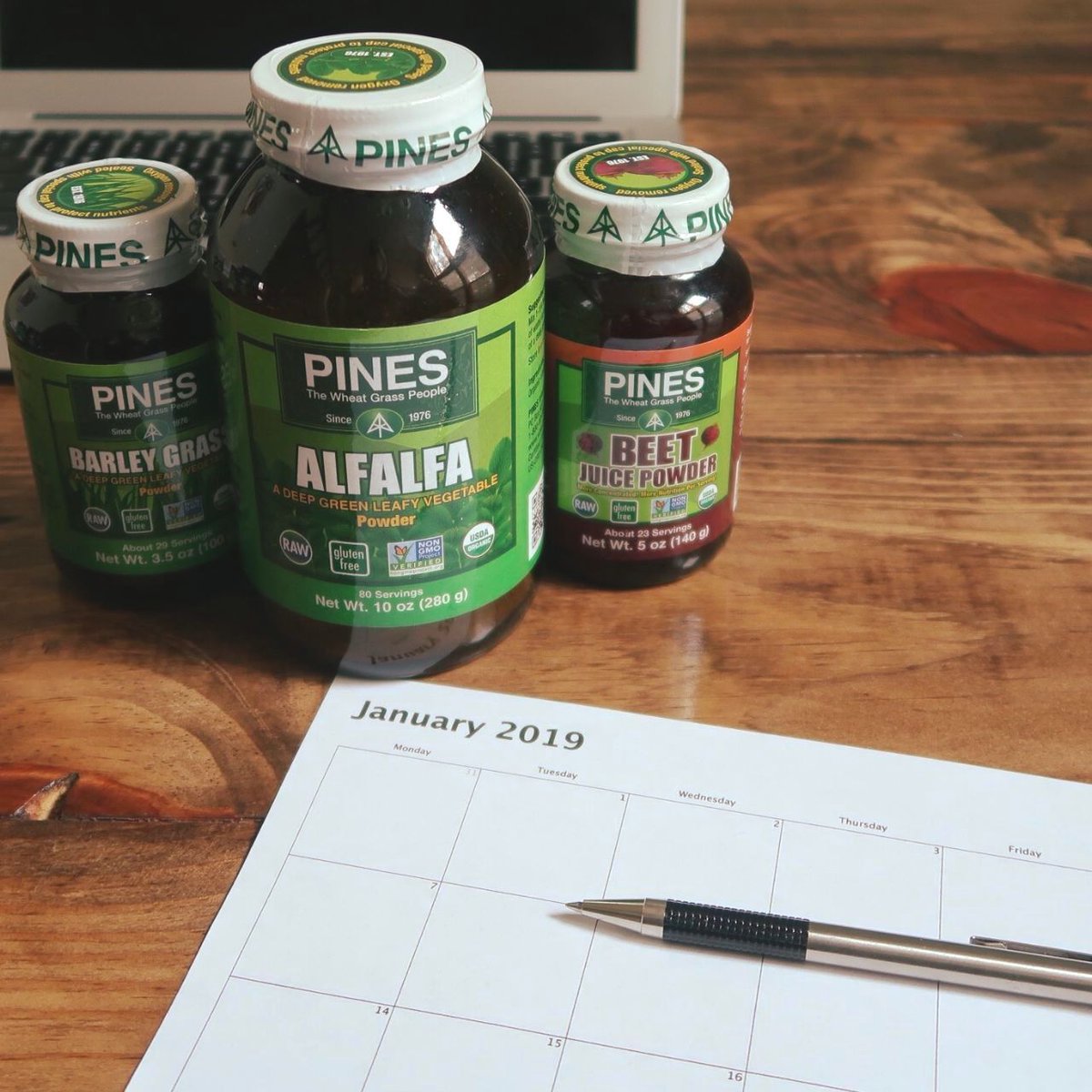 PinesWheatGrass photo