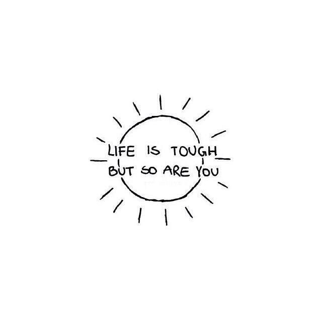 haleyblake317's tweet photo. Needed this 💗 https://t.co/NqJbxy2icT