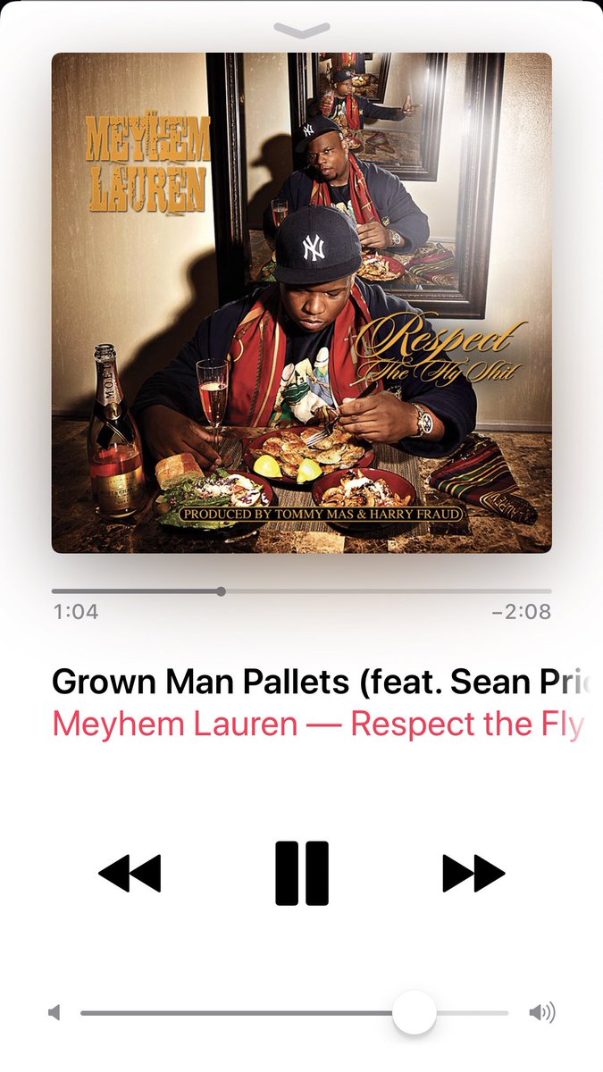 It’s cold in these New York Streets so make sure you listen to some fire by @MeyhemLauren to stay warm #Seanliveson 🙏🏽