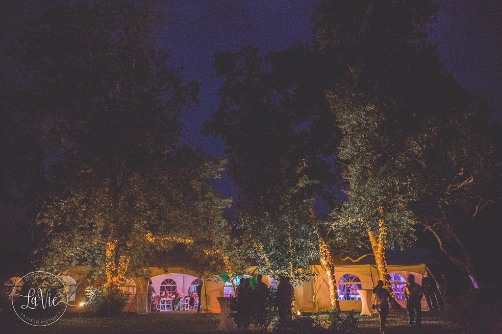 caseleystent's tweet photo. #7

Why We Love This Photo: An outdoor, night shot of our tent nestled perfectly in the trees. 

Photographer: LaVie In Pictures
Venue: Hazelbrook Homestead
Event Planner: Kiss The Bride
Happy Couple: Lorianne &amp; Kayton Zarhloul

Caseley's Rentals Supplies: Tent &amp; Lighting https://t.co/ScoxqULTne