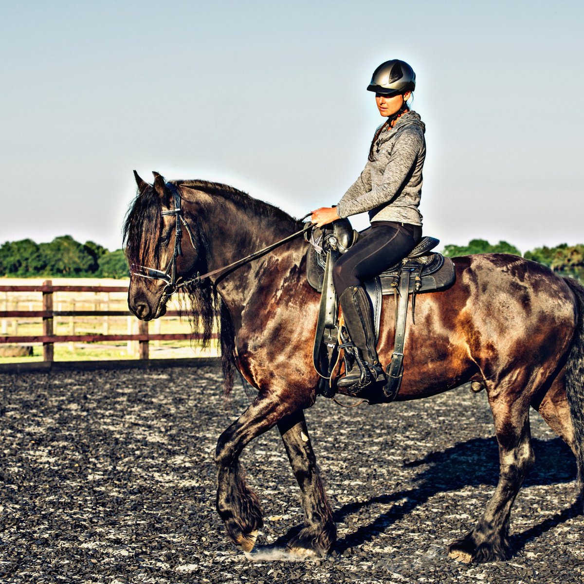 GG__Stuff's tweet photo. The days are finally getting longer which means we get more chances to ride!😁 In this photo in wearing the GG Stuff long sleeve Trotty top. Available in 5 colours!
https://t.co/gfu7aURcDE
#ggstuff #equestrianfashion #ridingclothes #friesianhorse #westernsaddle #equestrianbrand https://t.co/IbTcHfnMv6