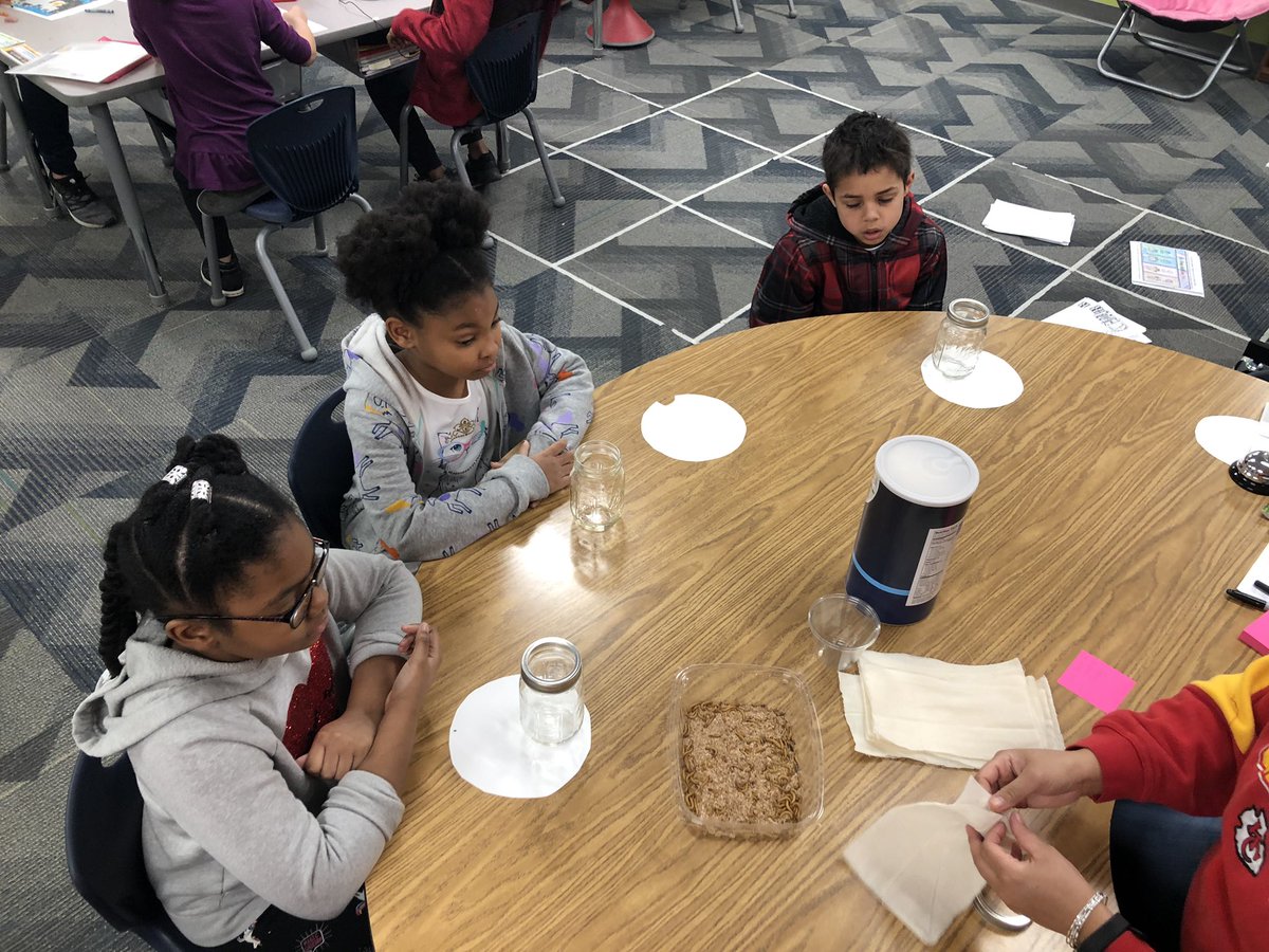 e_barchers's tweet photo. Leaning animal life cycles with mealworms (part 1). #3rdgraderocks @MrsStalkerHMC @HMC1Proud @HMC1MeYouUs @CompassHMC1 https://t.co/KphPS55rRz