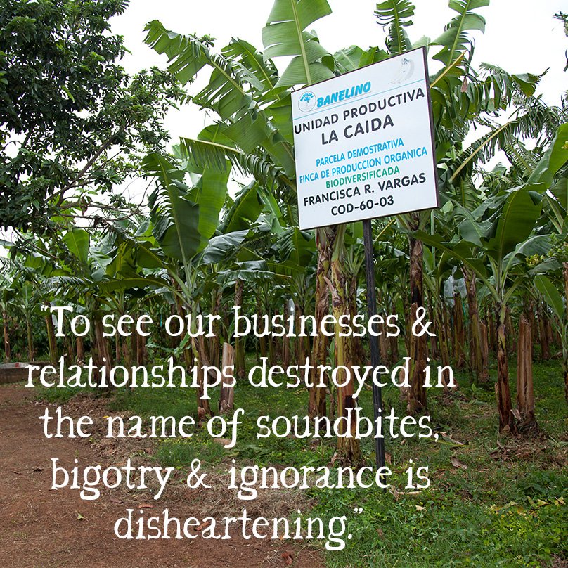 Guy's news: Please tell our leaders where bananas come from 
wickedleeks.riverford.co.uk/opinion/local-…