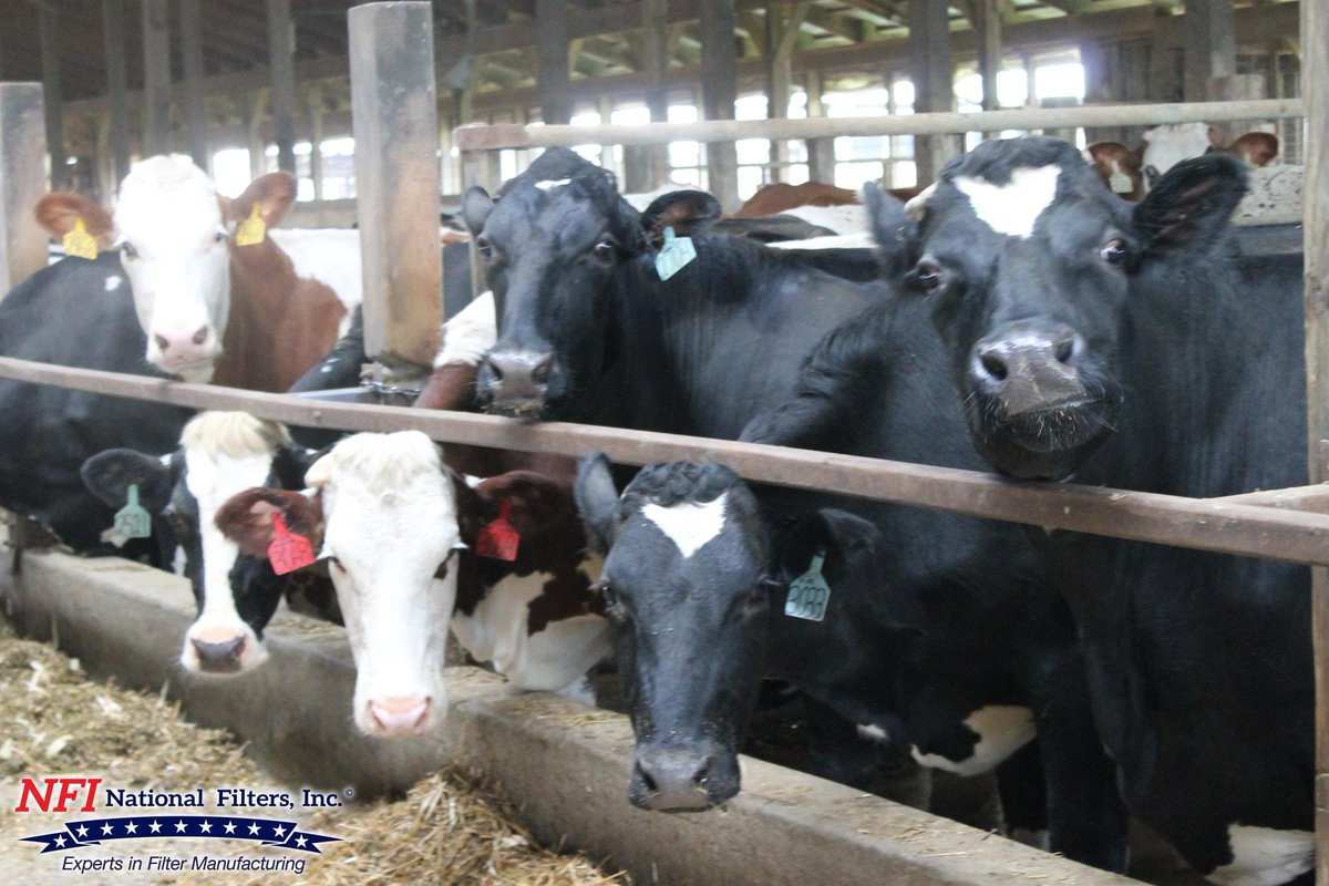 NationalFilters's tweet photo. Filters are used everywhere even at dairy operations!
Happy National Milk Day!

#NationalMilkDay #fluidpower #filtration #nationalfiltersinc https://t.co/t5eXNVE1Pz