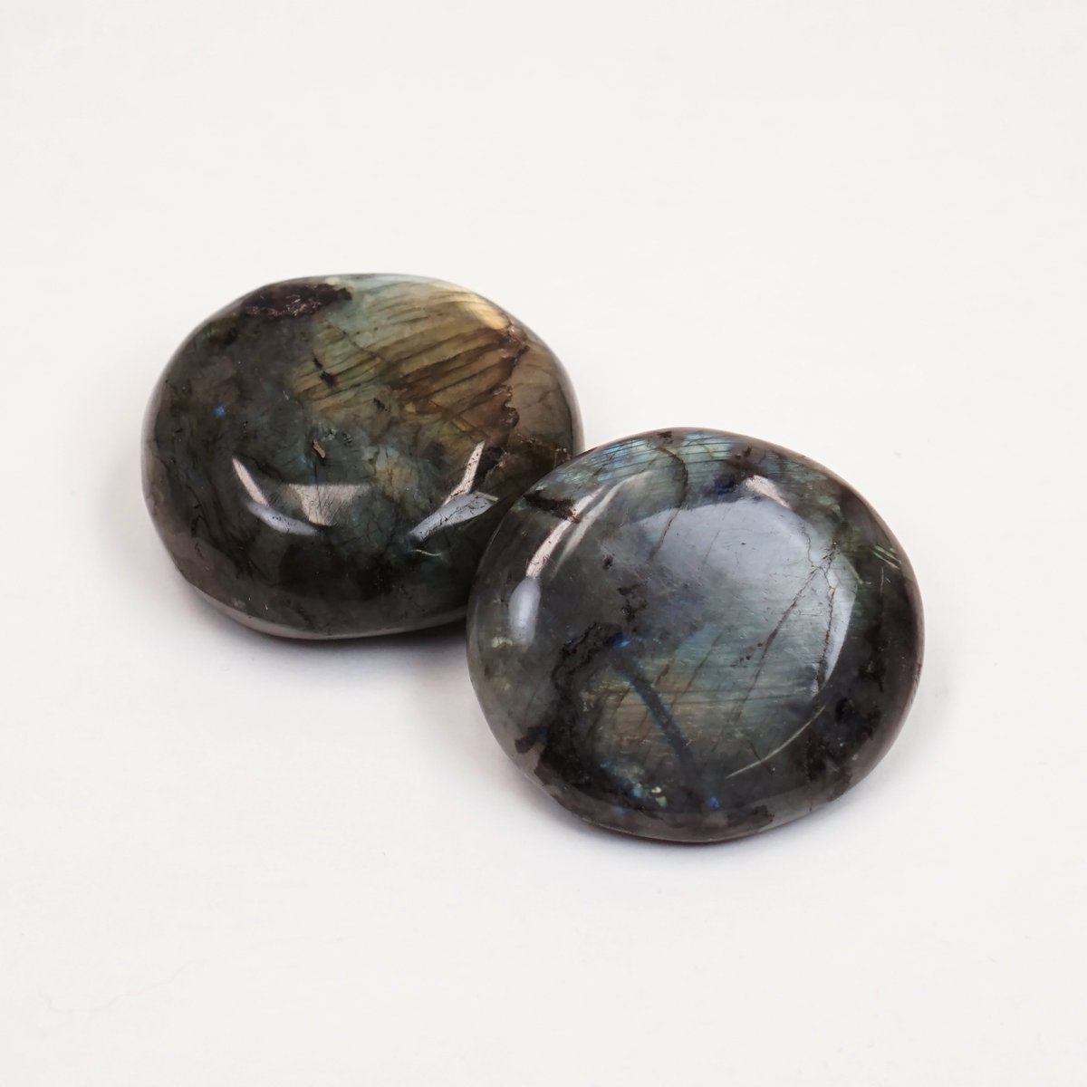 Springfield Leather tweet media