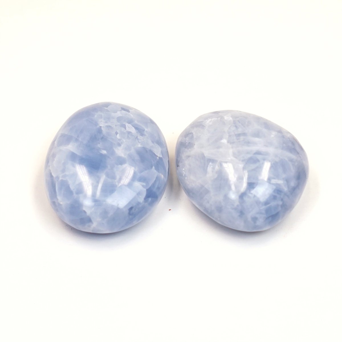 Springfield Leather tweet media